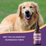 Pet Collagen Drops - Bovine Liquid Supplement