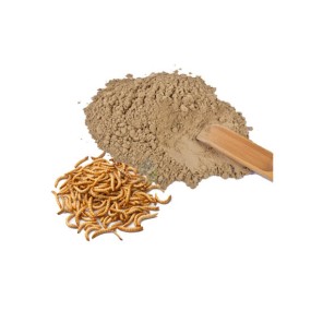 Mealworm Powder - Pure Insect Protein Supplement