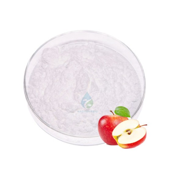 Apple Cider Vinegar Powder - HALAL Food Grade