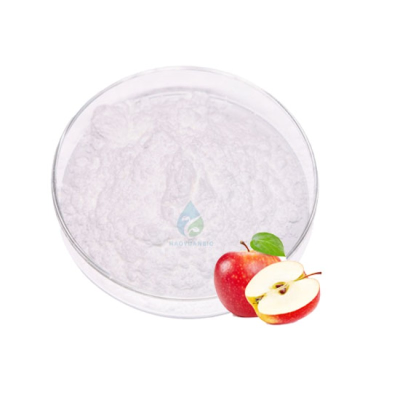 Apple Cider Vinegar Powder - HALAL Food Grade