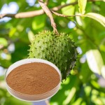 Soursop Extract - Graviola Leaf Supplement