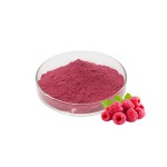 Raspberry Powder - Freeze Dried Juice Extract