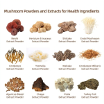Shiitake Mushroom Powder - Pet Supplement Formula