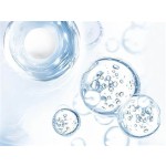 Bovine Collagen Powder - Hydrolyzed Bone Peptide