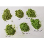 Matcha Green Tea Powder - USDA Organic Extract