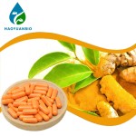 Turmeric Supplement - Pet Joint Support Capsules