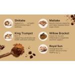 Mushroom Blend Pet Supplement - Organic Immune Support