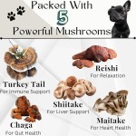 Mushroom Blend Pet Supplement - Organic Immune Support