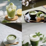 Banana Matcha Powder - Ceremonial Grade Factory