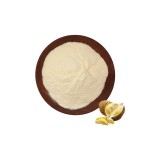 Durian Extract Powder - Freeze Dried Food Grade