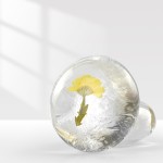 Chrysanthemum Soap Manufacturer - Blue Scented Dry Flower Soap