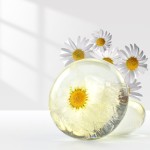 Chrysanthemum Soap Manufacturer - Blue Scented Dry Flower Soap