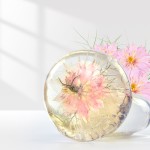 Amino Acid Soap Factory - Natural Sensitive Skin Face Wash