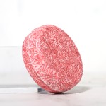 Cinnamon Shampoo Stick Factory - Pure Natural Oil Control Nourishing