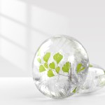 Amino Acid Soap Factory - Natural Sensitive Skin Face Wash