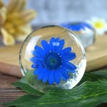 Amino Acid Soap Manufacturer - Hot Selling Flower Transparent Soap