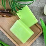 Tea Tree Soap Manufacturer - Custom 100g Organic Acne Oil Control