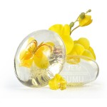 Amino Acid Soap Manufacturer - Hot Selling Flower Transparent Soap
