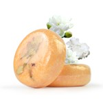 Hair Loss Shampoo Bar Manufacturer - OEM Herbal Anti Hair Loss