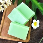 Tea Tree Soap Manufacturer - Custom 100g Organic Acne Oil Control