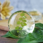 Amino Acid Soap Manufacturer - Hot Selling Flower Transparent Soap