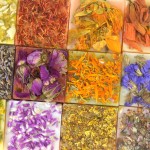 Handmade Soap Manufacturer - Private Label Plant Flower Cleansing