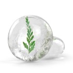 Amino Acid Soap Factory - Transparent Whitening Moisturizing Custom