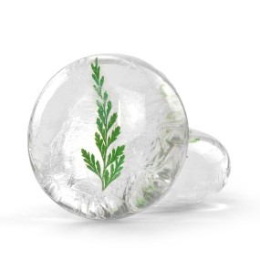 Amino Acid Soap Factory - Transparent Whitening Moisturizing Custom