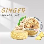 Ginger Shampoo Soap Factory - Organic Turmeric Hair Regrowth