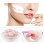 Face Mask Powder Manufacturer - Small Batch Hydrojelly Whitening