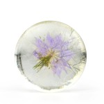 Flower Soap Factory - Wholesale Transparent Amino Acid Facial