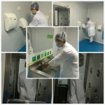 Collagen Solution 4ml - Type I & III with Peptide Serum