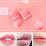 Night Lip Balm 20ml - Organic Collagen Moisturizing