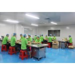 Argan Oil Shampoo - Anti-Dandruff Hair Growth Set