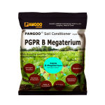 PGPR B Megaterium Solve Soil Problem