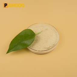 Feed Additives Probiotics Bacillus Subtilis for Sale