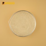 Feed Additives Probiotics Bacillus Subtilis for Sale