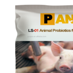 PANGOO BIOBED Improve Feed Efficiency for Piglet, Pig, Sow Use Bacteria