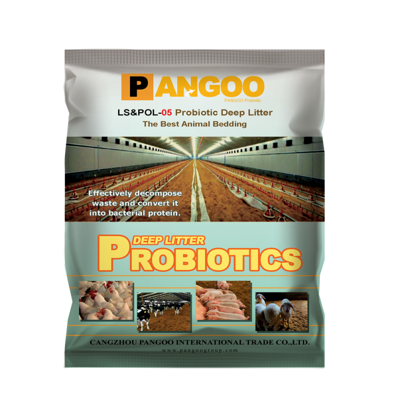 Pig and Chicken Farm Disinfectant Bacteria for Fermentation Bed Deodorization