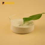 Cheap NSP Enzyme Plus Manufacturer