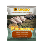 Best Probiotics for Pigs Swine Piglets China Supplier Fast Delivery