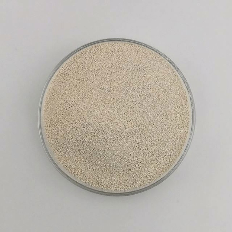 High quality lysine l lysine talk to an expert