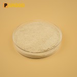 Turbo Yeast