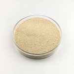 High quality lysine l lysine talk to an expert