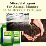 commercial composting