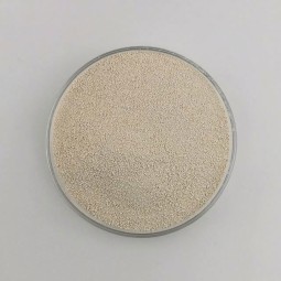 High quality poultry lysine in china