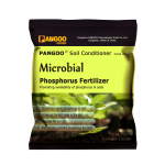 Bacillus Megaterium High Quality
