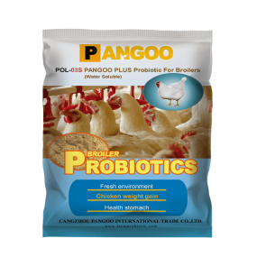 New Arrival High Quality Nice Price Best Selling Probiotics for Poultry Layers Chicken