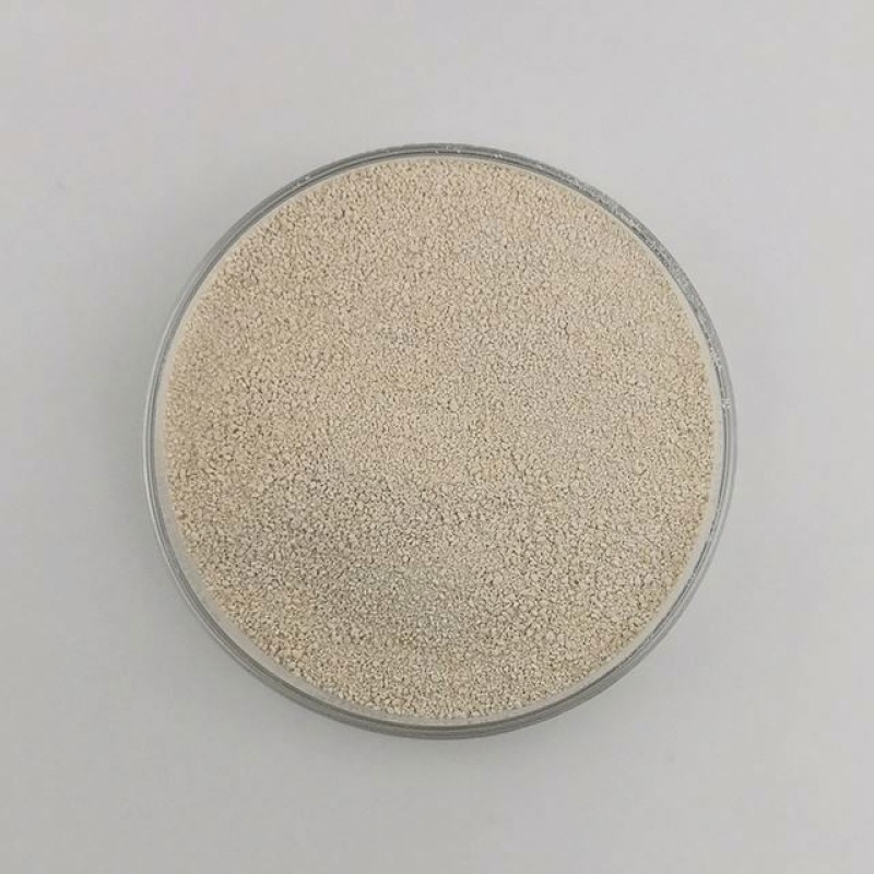 High quality lysine l lysine suppliers