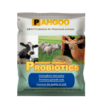 Best Selling Cheapest Feed Affitive Probiotics for Ruminant Animals Cow Sheep Goat Cattle